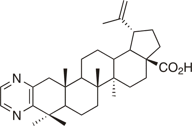 Pyrazine´s derivate of betulonic acid